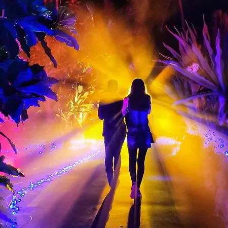 Апартаменты Rosa Гуимар